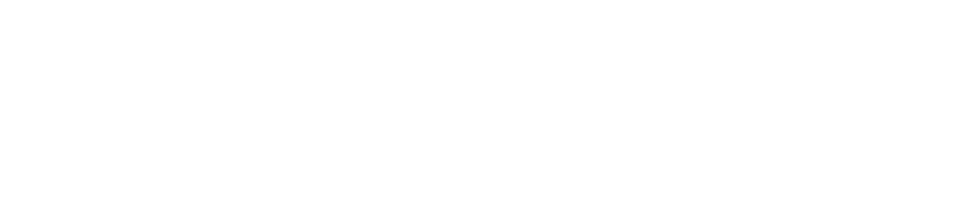 Logo_DGS_Boat_New_3_240322